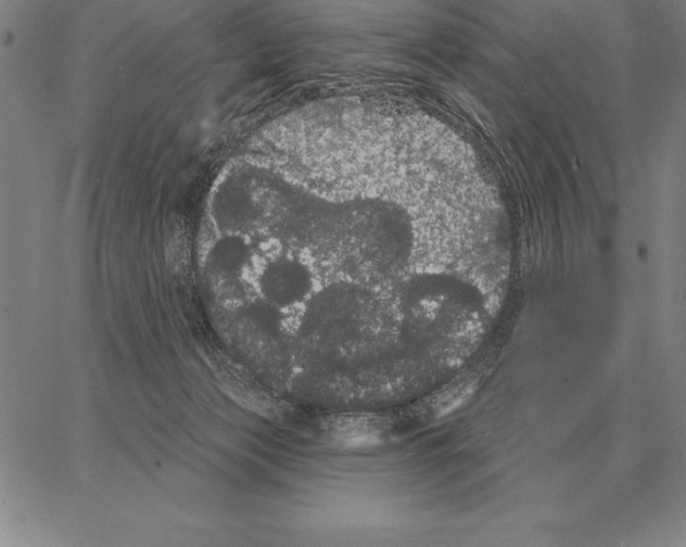 X0000066090173200604071806