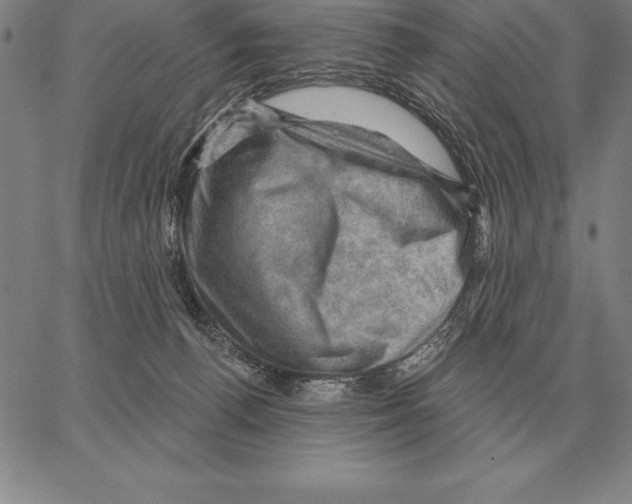 X0000066090176200604071806