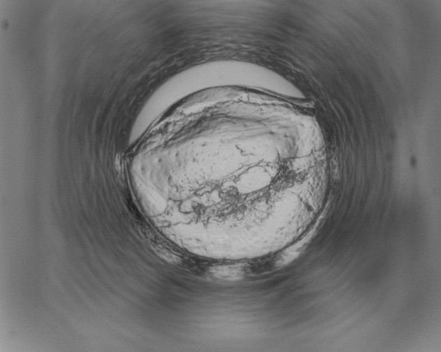X0000066090178200604071806