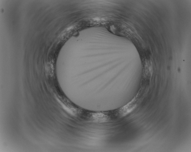 X0000066090183200604071806