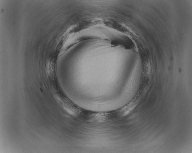 X0000066090184200604071806