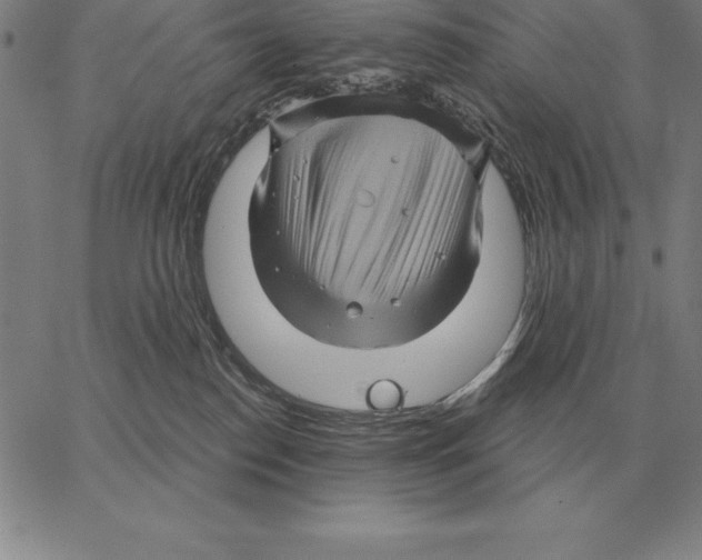X0000066090186200604071806