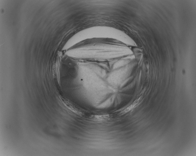 X0000066090188200604071806