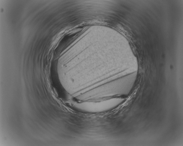 X0000066090193200604071805