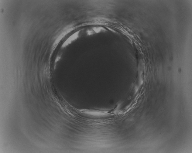 X0000066090200200604071805