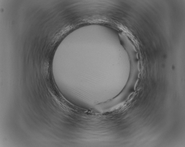 X0000066090201200604071805