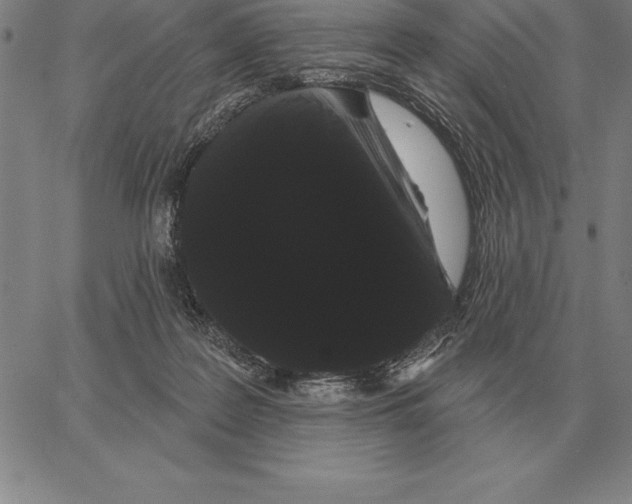 X0000066090219200604071805