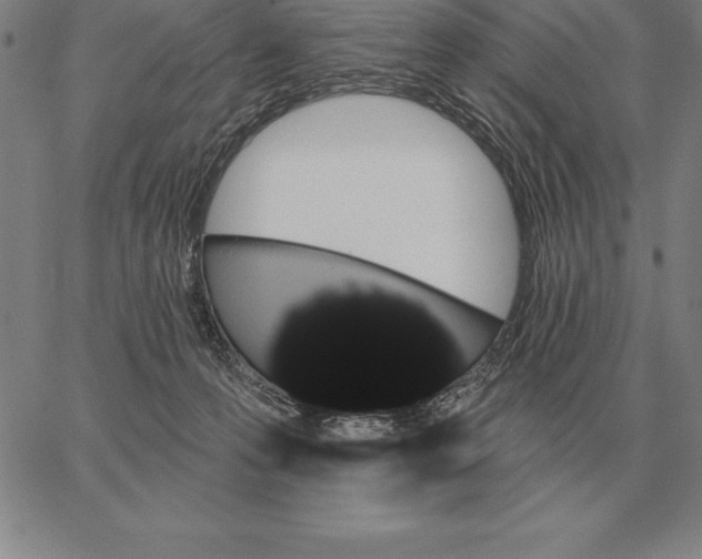 X0000066090223200604071805
