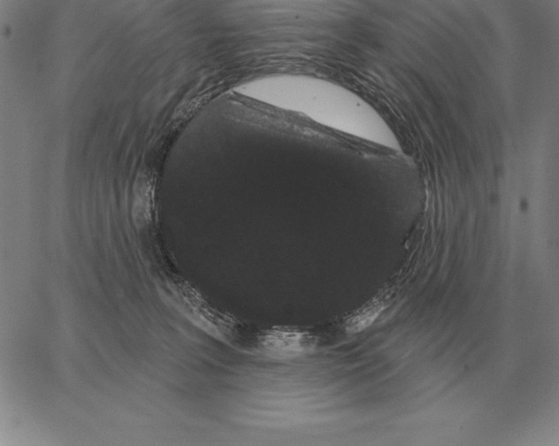 X0000066090227200604071805