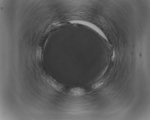 X0000066090231200604071804