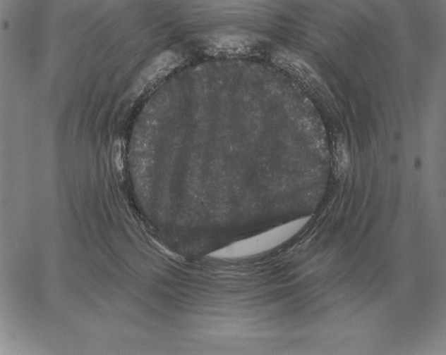 X0000066090232200604071804