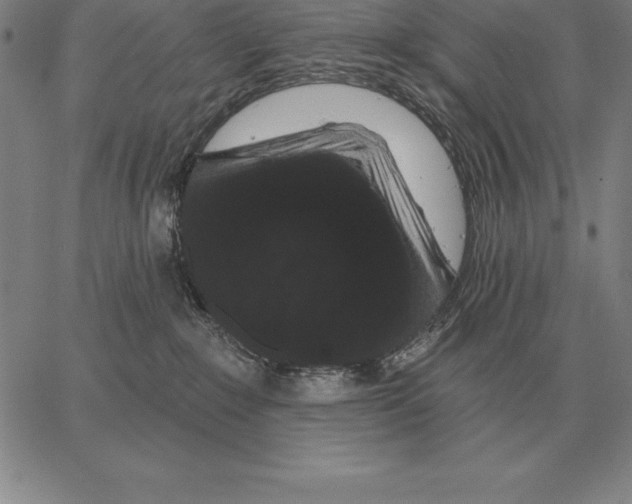 X0000066090235200604071804