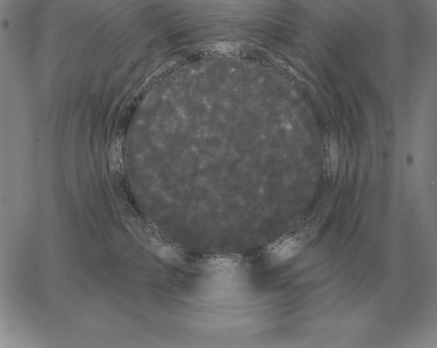 X0000066090236200604071804