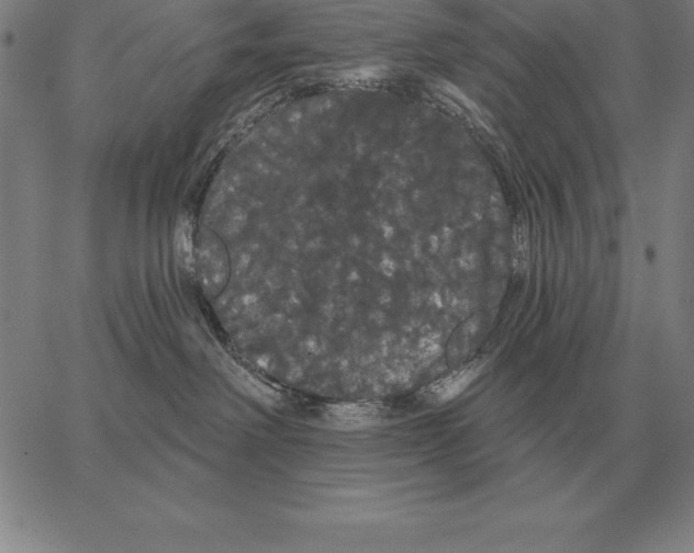 X0000066090238200604071804