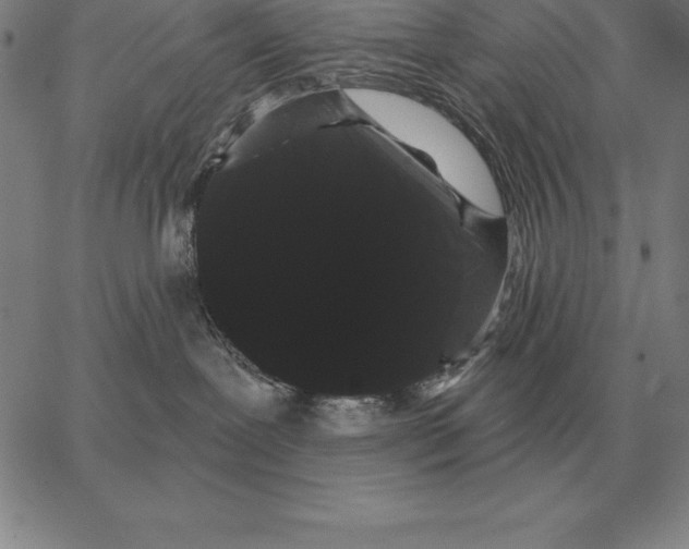 X0000066090239200604071804