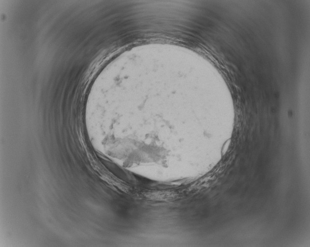 X0000066090241200604071804