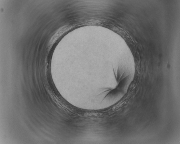 X0000066090242200604071804