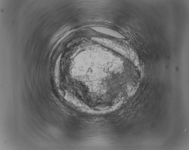 X0000066090243200604071804