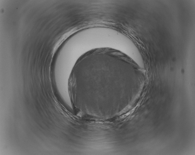 X0000066090244200604071804