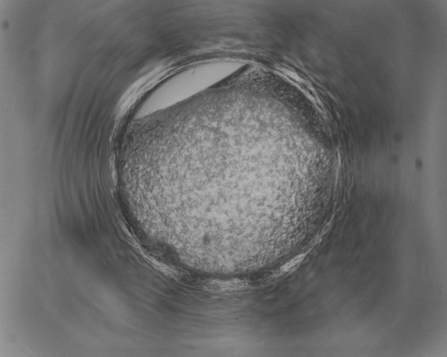 X0000066090245200604071804