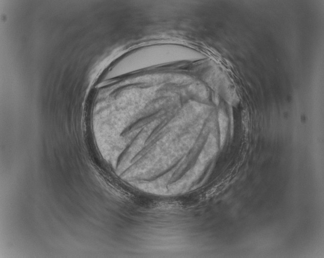 X0000066090248200604071804