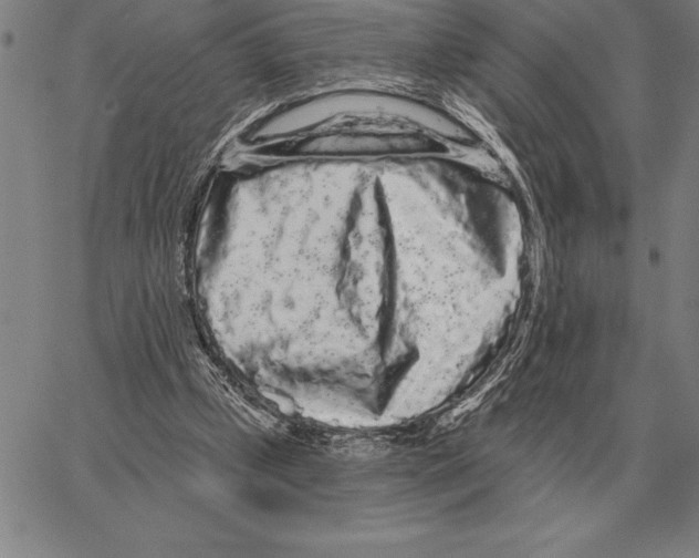 X0000066090249200604071804