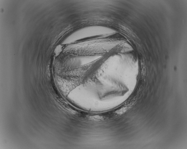 X0000066090258200604071804