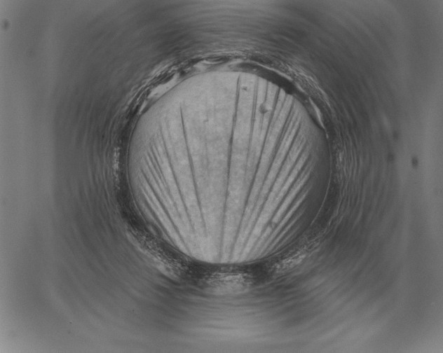 X0000066090260200604071804