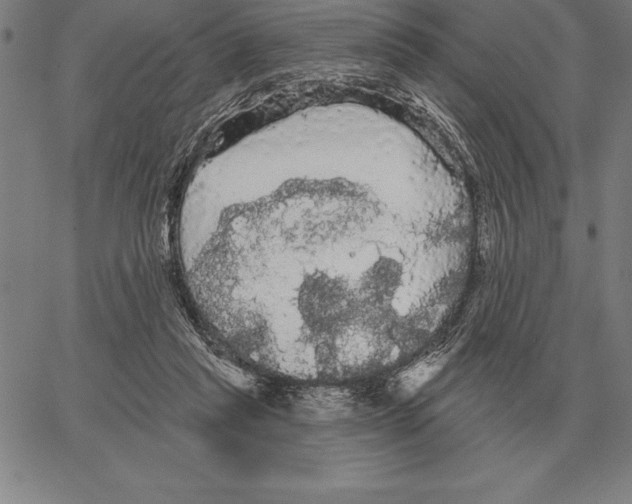 X0000066090261200604071804
