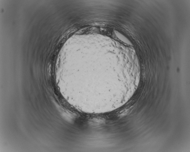 X0000066090263200604071804