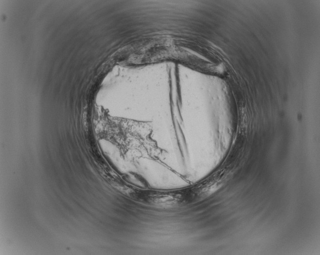 X0000066090267200604071804