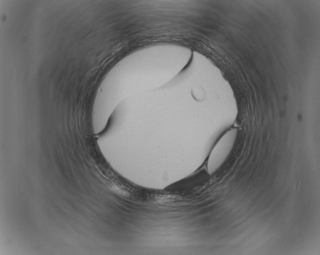 X0000066090268200604071804