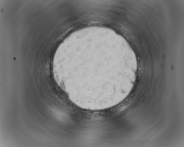 X0000066090269200604071804