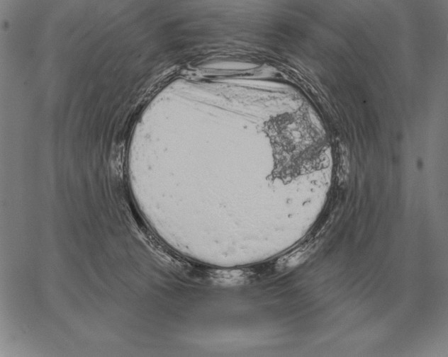 X0000066090273200604071804