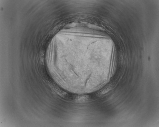 X0000066090274200604071804