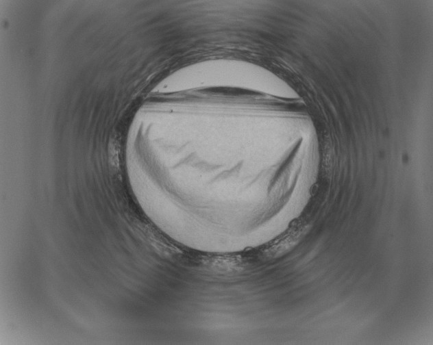 X0000066090282200604071804