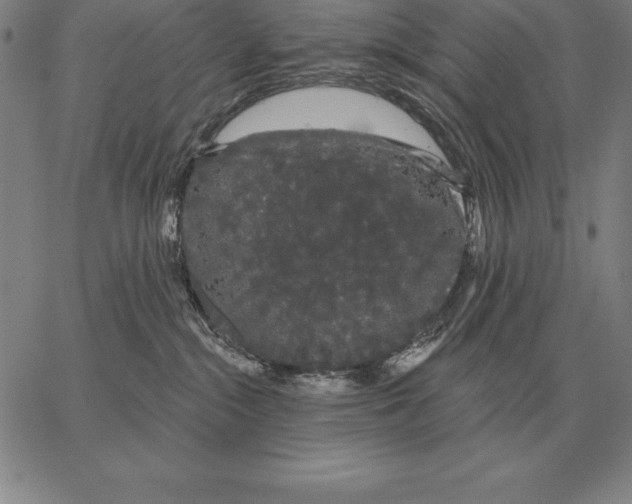 X0000066090284200604071804