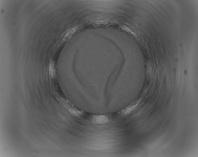 X0000066090287200604071804