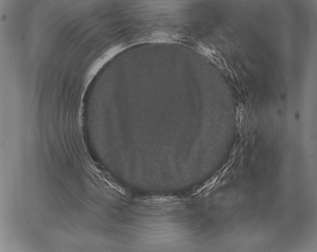X0000066090292200604071803