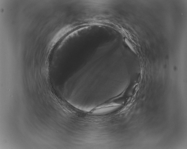 X0000066090295200604071803