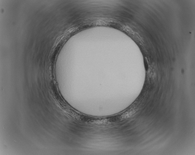 X0000066090306200604071803