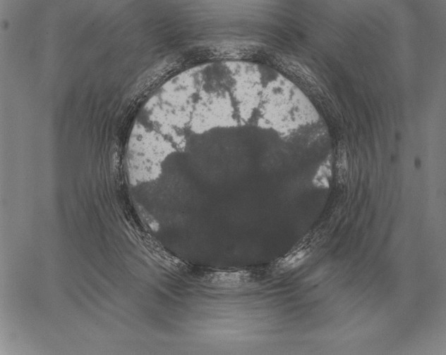 X0000066090314200604071803