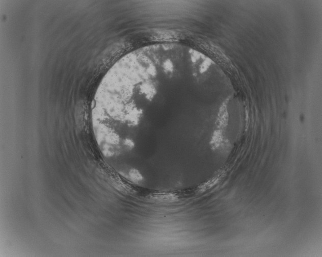 X0000066090322200604071803