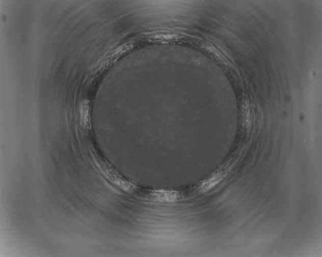 X0000066090328200604071803