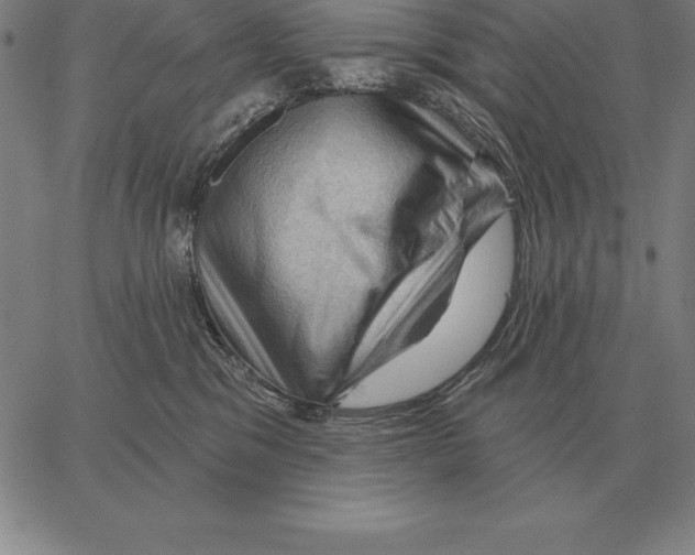X0000066090329200604071803