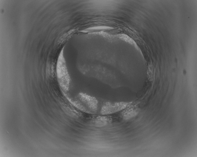 X0000066090330200604071803