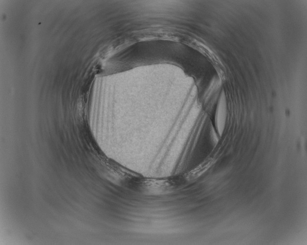 X0000066090333200604071803
