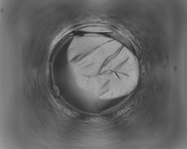 X0000066090344200604071802