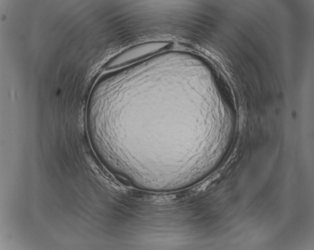 X0000066090345200604071802