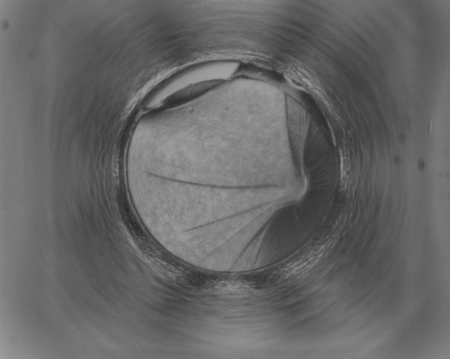 X0000066090348200604071802